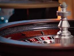 y77 platform overview showing sports and casino categories on mobile